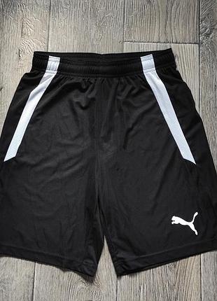 Шорты спортивные puma