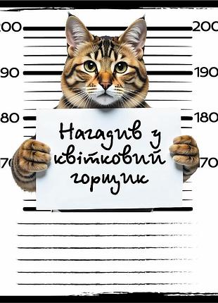 Зошит загальний "кримінал" 048-590593k-4 у клітинку, 48 аркушів