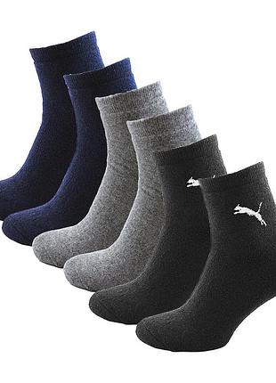 Набір зимові чоловічі шкарпетки puma 6 пар 35-45 кольорові теплі махрові 41-45