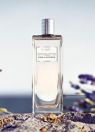 Туалетна вода men's collection cool lavender oriflame менс колексшн кул лавенде 75 ml  код 33349