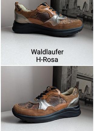 Кроссовки сникерсы waldlaufer (3 1/2/наш 36,5)
из натур. кожи и замши женские идеальное состояние