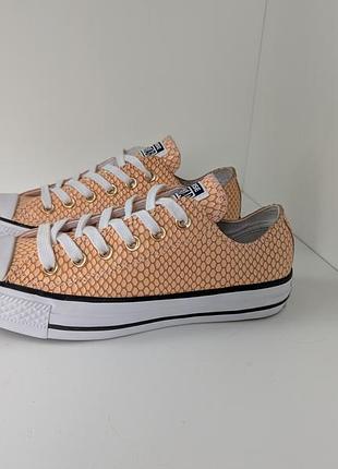 Кеди converse all star