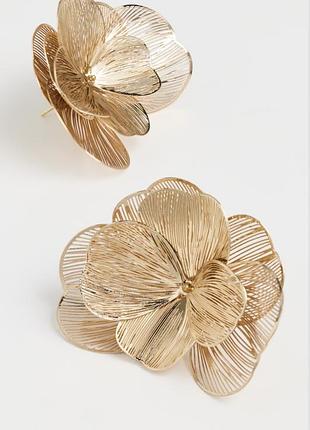 Середки золоті zara