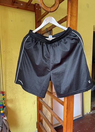 Шорти hummel