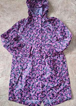 Дощовик joules