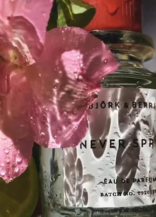 Распил парфюм ниша never spring bjork &amp; berries. 2