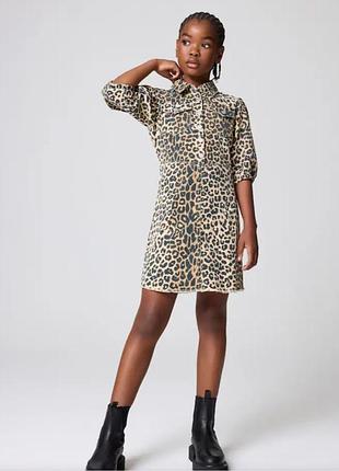 146 cm all saints smallsaints леопардове плаття дитяче