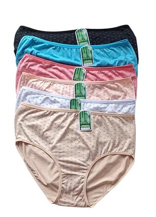 Женские трусы набор 6 шт 56/58 4xl/5xl бамбуковые эластичные комфортные натуральные высота посадка