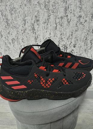 Баскетбольні кросівки adidas pro n3xt