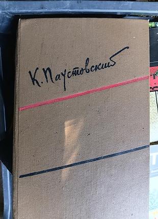 Константина паустовского (классическая советская встреча