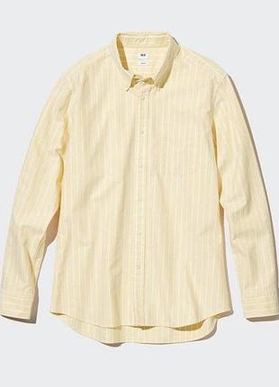Чоловіча котонова сорочка у смужку uniqlo