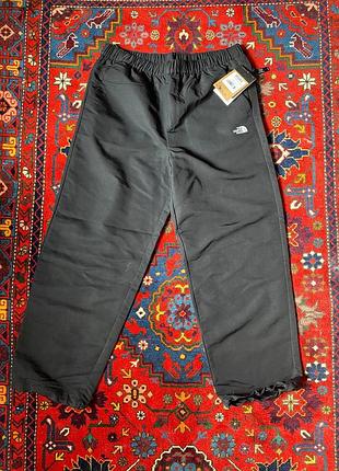 Чоловічі штани the north face