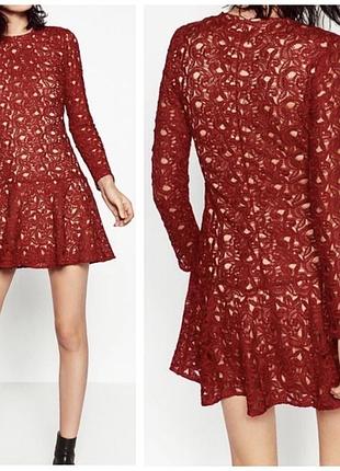Жіноча мереживна ажурна красива сукня плаття  бордо червона довгий рукав zara розмір s