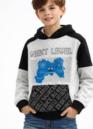 Назва:
світшот lego next level для хлопчика 134–140 см.