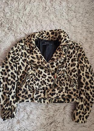 Косуха zara