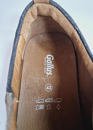 Туфлі gallus 6