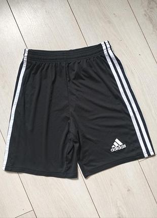 Спортивные шорты adidas