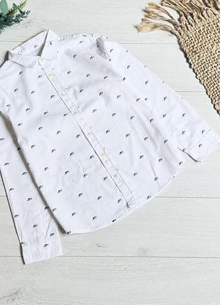 🌿сорочка zara на 10 р як нова ціна -220 г д-56 см рукав від ворота-63 см ширина-44 см