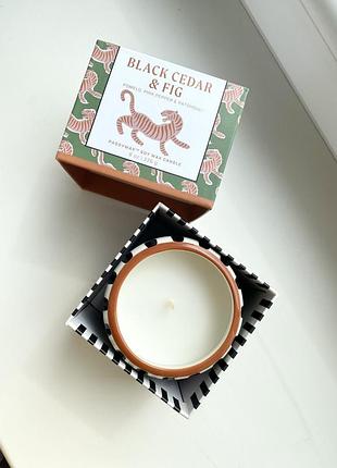 Соєва свічка paddywax black cedar & fig
