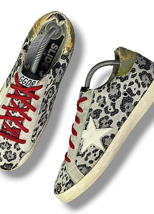 Кросівки golden goose superstar leopard жіночі леопардові eu 40