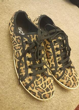 Леопардові текстильні кеди schuh (made in italy) — розмір 38