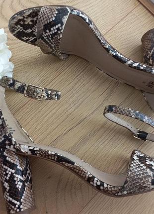 H&m босоніжки на блочному підборі з принтом під зміїну шкіру 38 розмір устілка-24