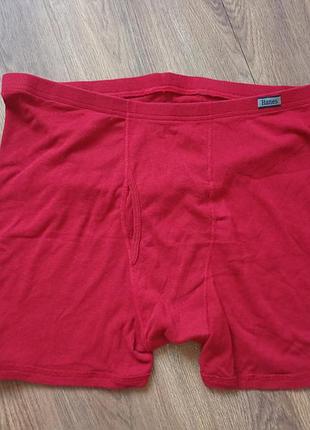 Брендовые боксеры hanes.
