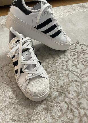 Adidas superstar