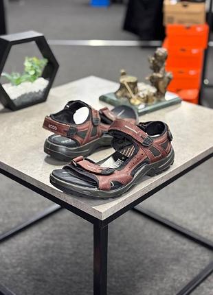 Чоловічі спортивні сандалі ecco offroad у коричневому кольорі з контрастними чорними елементами.