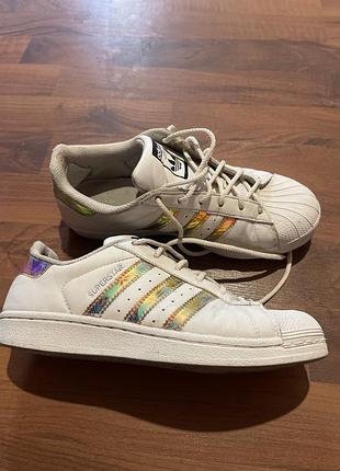 Кроссовки adidas superstar