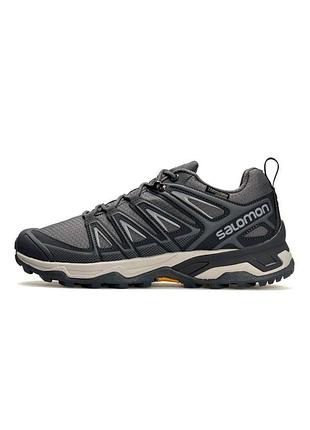 Чоловічі кросівки salomon speedcross pro thinsulate grey beige