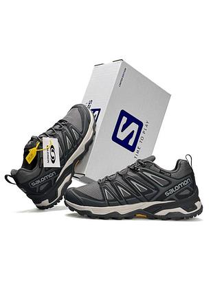 Чоловічі кросівки salomon speedcross pro thinsulate grey beige