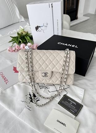 Chanel beige silver texture 25x16x7