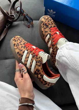 Кросівки жіночі adidas samba og preloved red leopard