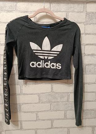 Кофточка adidas