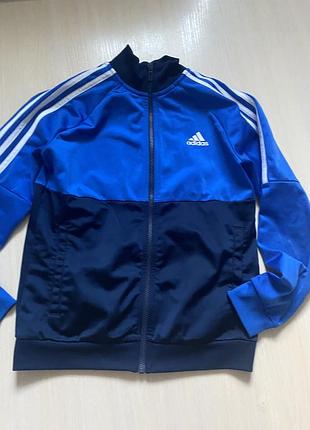 Олімпійка adidas