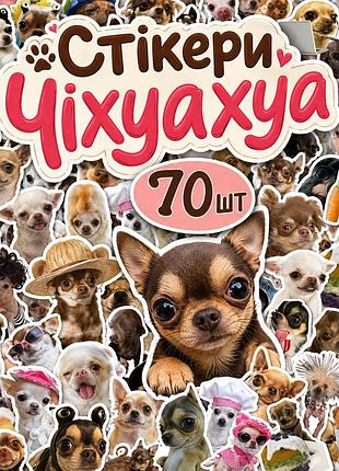 Стікери чіхуахуа меми 70 шт, chihuahua meme stickers