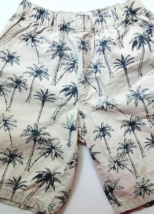 Шорты zara бежевые с пальмами 152
