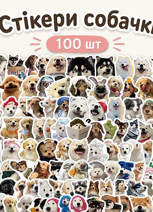 Стикеры собачки 100 шт, dog stickers