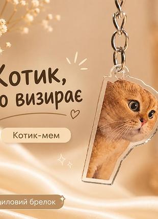 Акриловий брелок котик, що визирає, котик мем 3,5 х 2,5 см