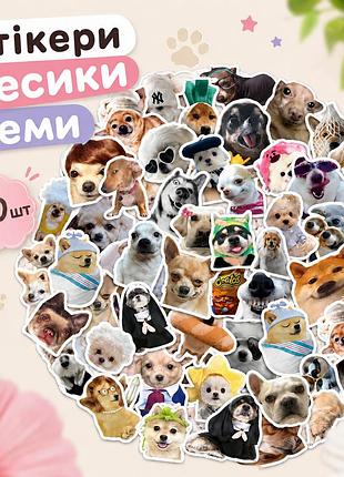 Стікери песики меми 60 шт, dog meme sticker 02