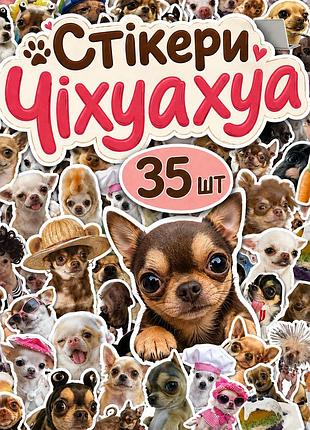 Стікери чіхуахуа меми 35 шт, chihuahua meme stickers