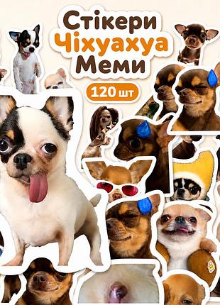 Стикеры чихуахуа мемы 120 шт, chihuahua meme stickers