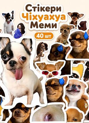 Стікери чіхуахуа меми 40 шт, chihuahua meme stickers