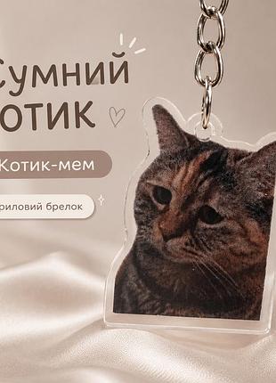 Акриловий брелок котик-мем сумний котик 4х3,5 см