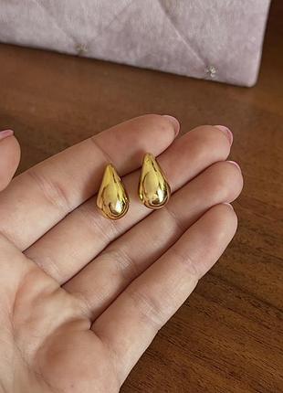 Сережки пусети