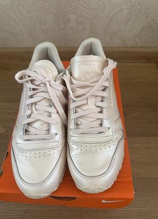 Кросівки reebok