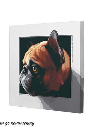 Картина за номерами riviera blanca портрет у віконці.песик 40x40 см (rb-0587)