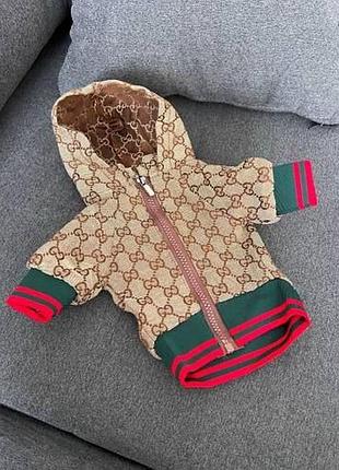 Куртка для собачки gucci