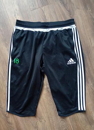Брендовые шорты adidas.
